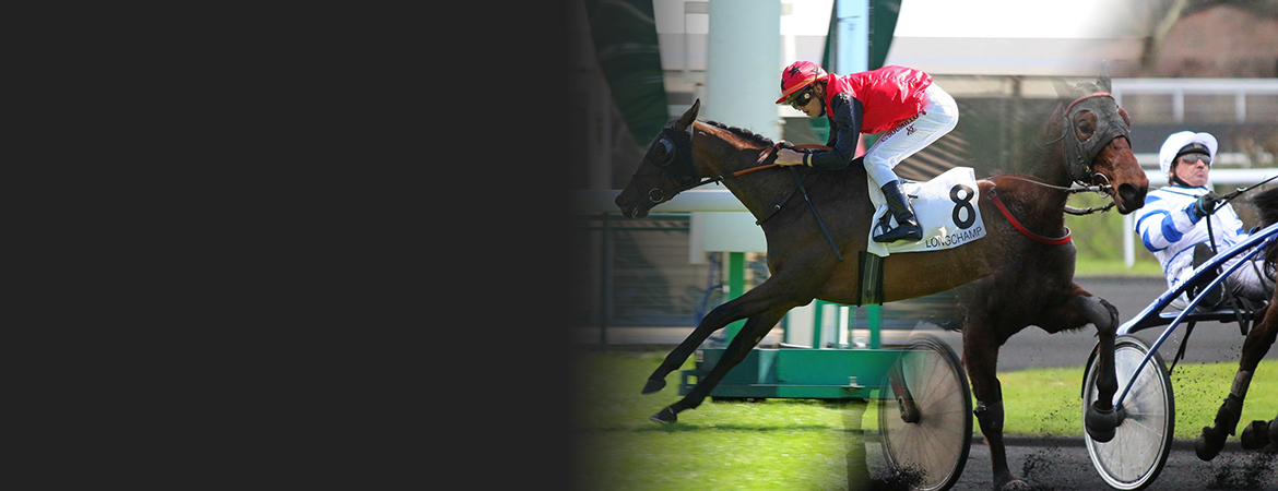 Participez aux courses des chevaux de l'Ecurie